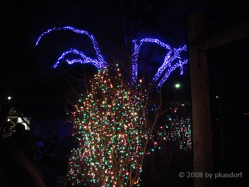 009 Toledo Zoo Light Show [2008 Dec 27].JPG - Scenes from the Toledo Zoo Light Show.